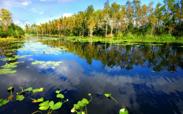 O-Clima-Da-Floresta-Amazônica