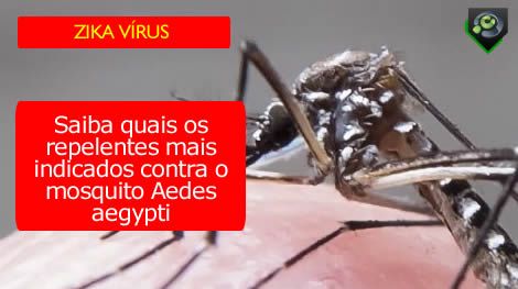 quais os repelentes mais indicados contra o mosquito Aedes aegypti