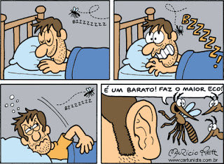 Por que os mosquitos zumbem nas nossas orelhas?