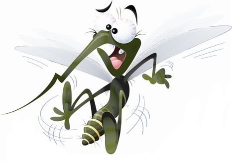 Repelente de insetos - Como eles funcionam?