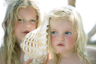 Por que temos a impressão de ouvir o som do mar nas conchas?