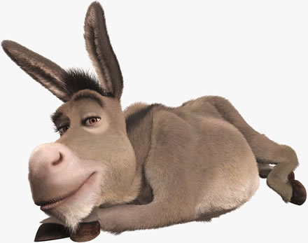 Os burros são realmente burros?