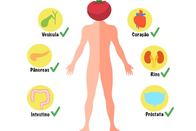 Órgão em que o tomate atua trazendo benefícios
