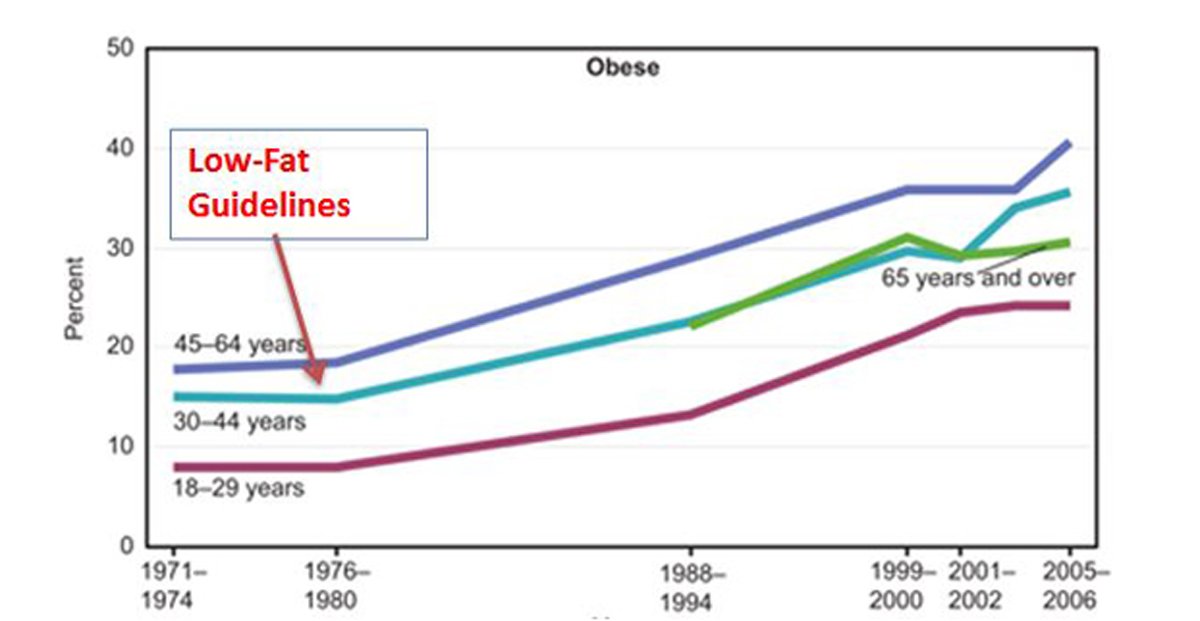 fatchart1