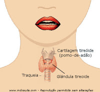 Localização da tireoide