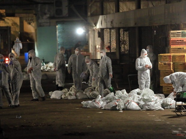 Funcionários do governo chinês sacrificam aves em medida sanitária para conter avanço do vírus da gripe aviária H7N9. (Foto: AFP)