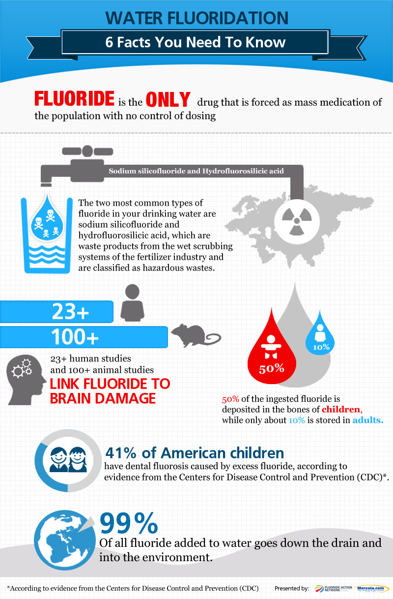 Harvard estudo confirma flúor reduz o QI das crianças 2013 01 15 waterfluoridationfacts