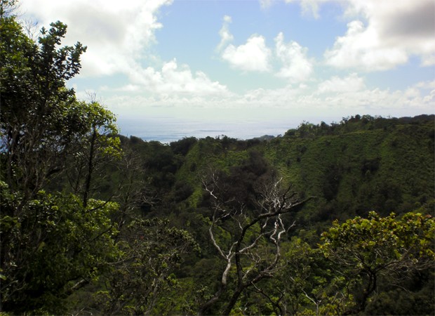 Montanhas no Havaí vão ser dissolvidas por águas subterrâneas, segundo cientistas (Foto: Divulgação/Universidade Brigham Young)