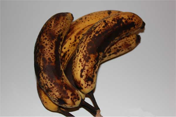 acontece_comer_bananas_maduras_1