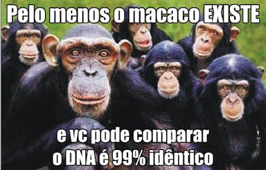 homem veio do macaco