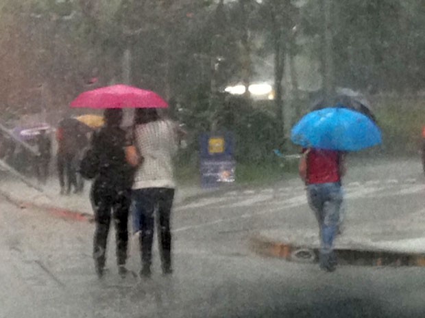 Chuva coloca regiões de São Paulo em estado de atenção (Foto: Roney Domingos/G1)