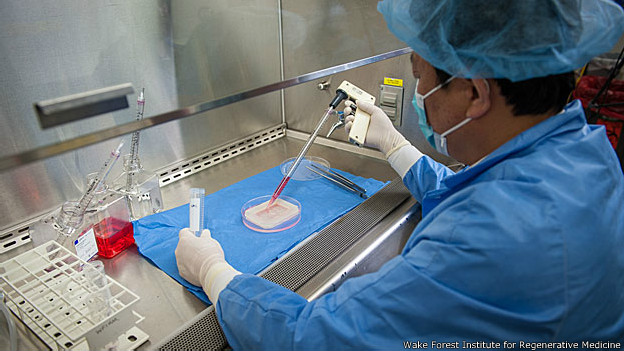 Foto: Wake Forest Institute for Regenerative Medicine