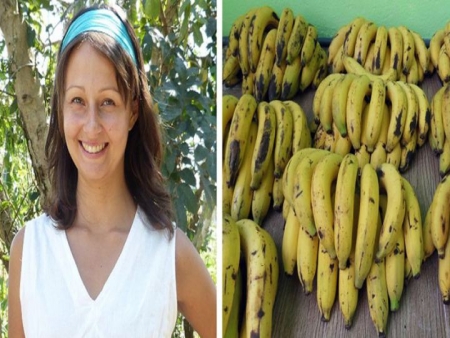 Receita Veja o que aconteceu com uma mulher que passou 12 dias comendo apenas bananas